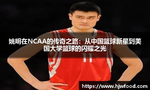 ac米兰体育