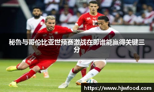 ac米兰体育