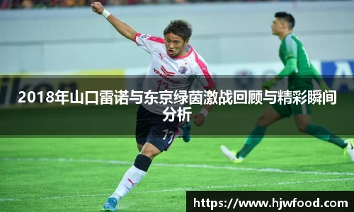2018年山口雷诺与东京绿茵激战回顾与精彩瞬间分析